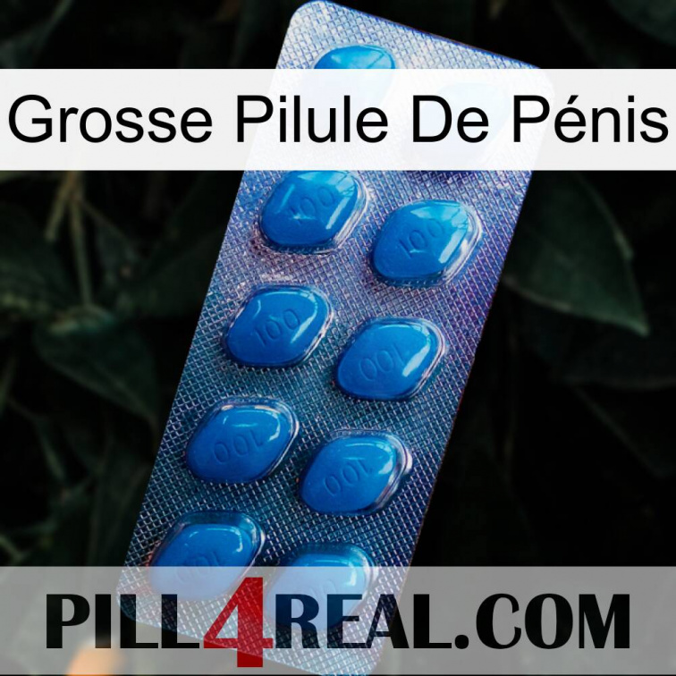 Grosse Pilule De Pénis viagra1
